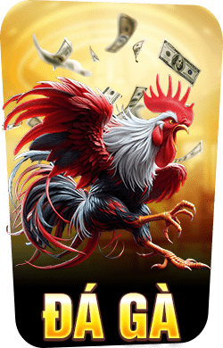 đá gà win55