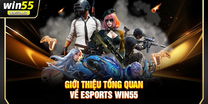 Giới thiệu tổng quan về esports WIN55